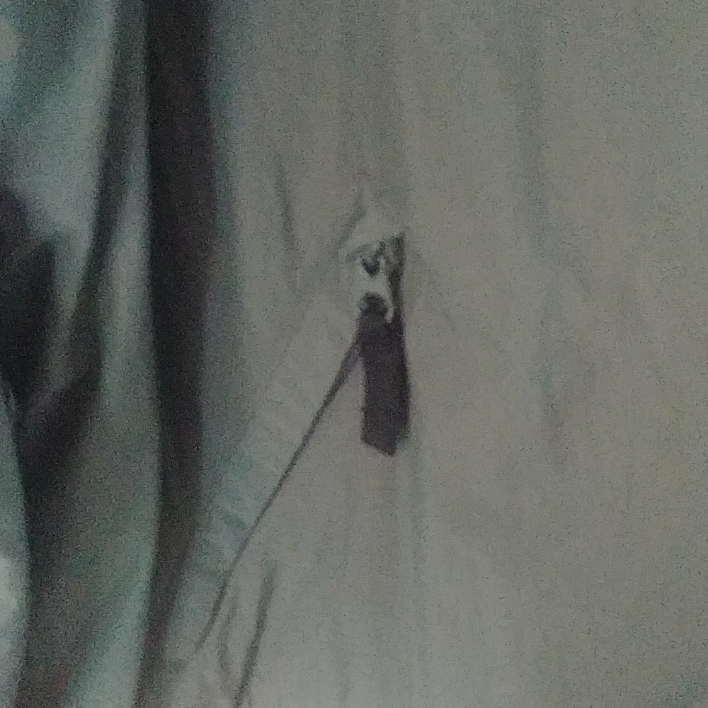 Woman's Columbia Jacket - Picture 3 of 11